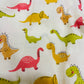 UNISEX ANGRAKHA COTTON COORD SETS Print – dinosaurs
