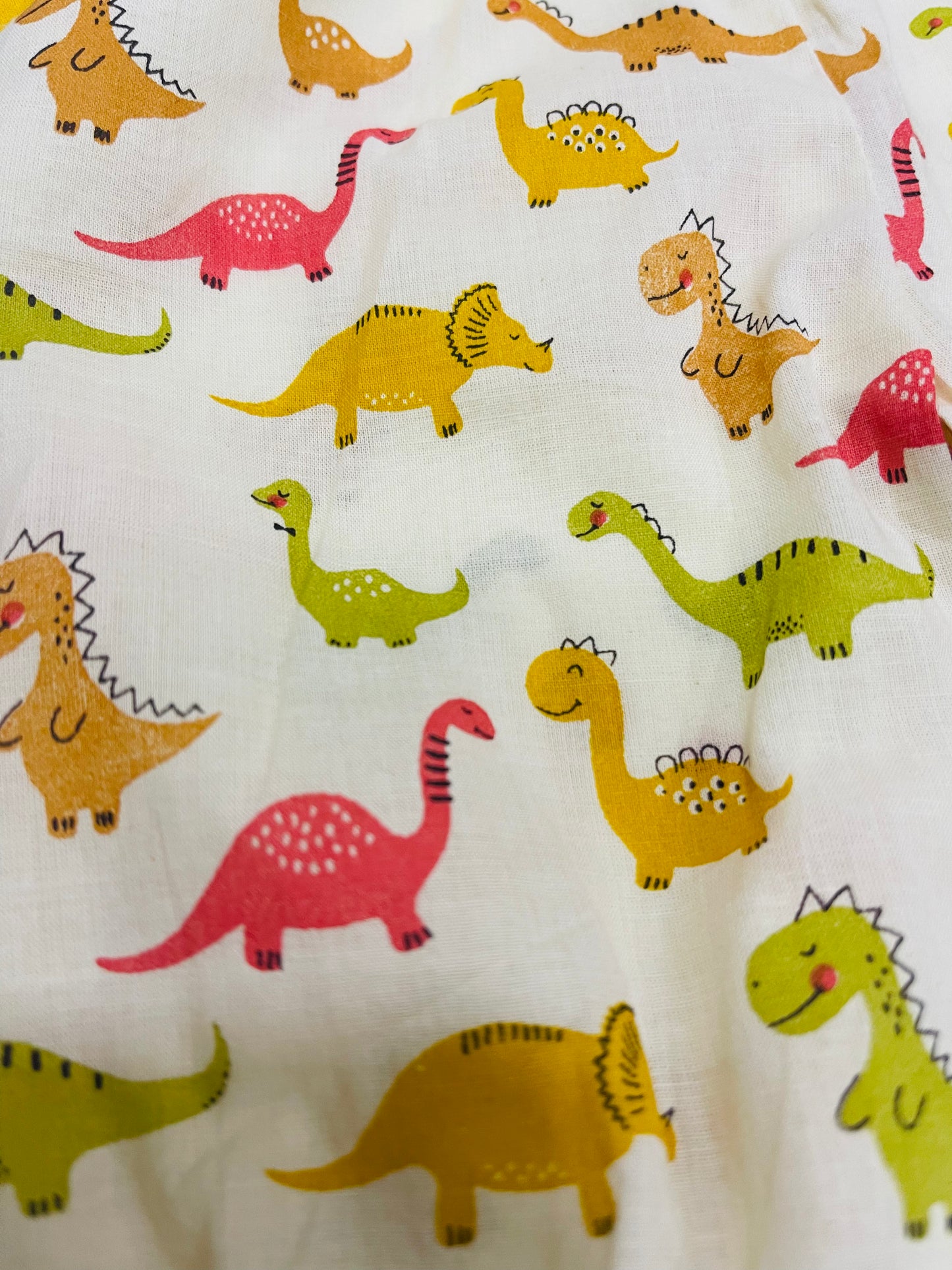 UNISEX ANGRAKHA COTTON COORD SETS Print – dinosaurs